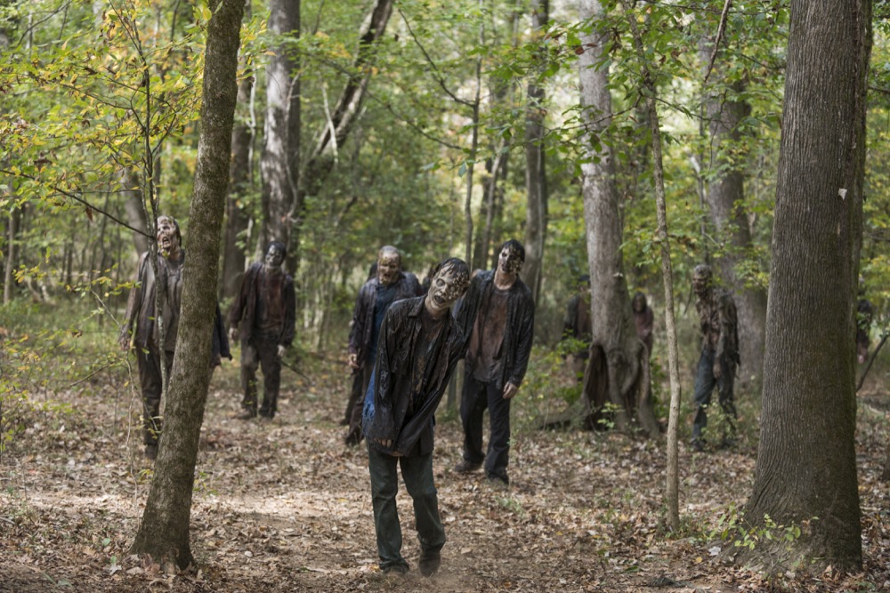 Walker - The Walking Dead _ Season 7, Episode 15 - Photo Credit: Gene Page/AMC