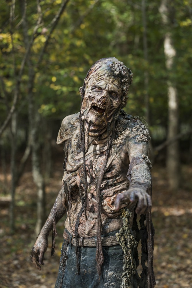 Walker - The Walking Dead _ Season 7, Episode 15 - Photo Credit: Gene Page/AMC