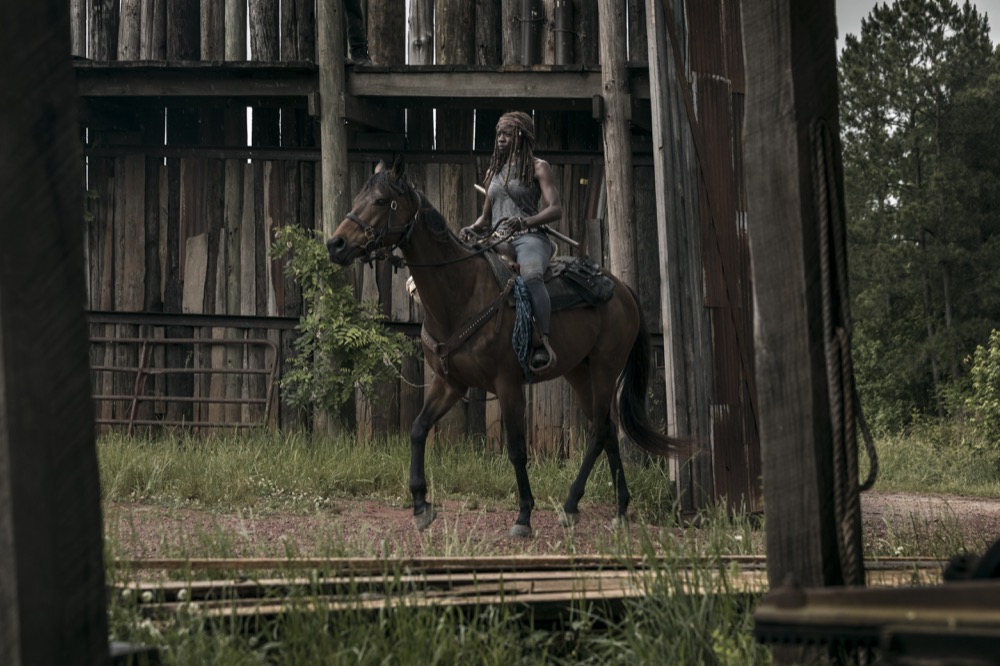 Danai Gurira as Michonne - The Walking Dead _ Season 9, Episode 2 - Photo Credit: Jackson Lee Davis/AMC